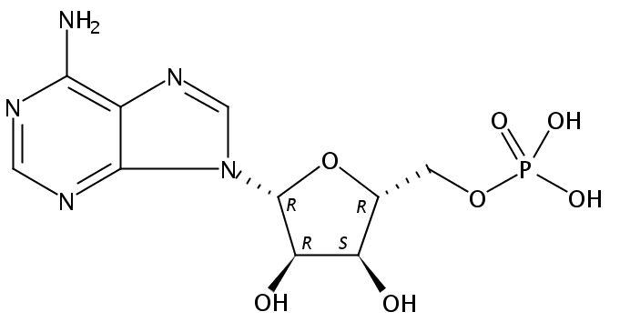 多聚腺苷酸钾盐,POLY(A)钾盐