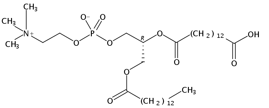 1-myristoyl-2-(14-carboxymyristoyl)-sn-glycero-3-phosphocholine