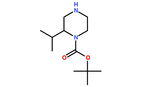 1-BOC-2-异丙基哌嗪