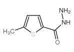 5-甲基-2-噻吩羧酸肼