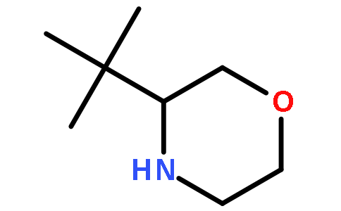 (R)-3-(叔丁基)吗啉