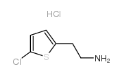 2-(5-氯噻吩-2-基)乙胺盐酸盐