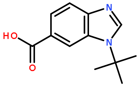 1-叔丁基-苯并咪唑-6-羧酸