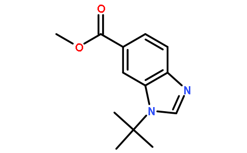 1-叔丁基-1H-苯并d咪唑-6-羧酸甲酯