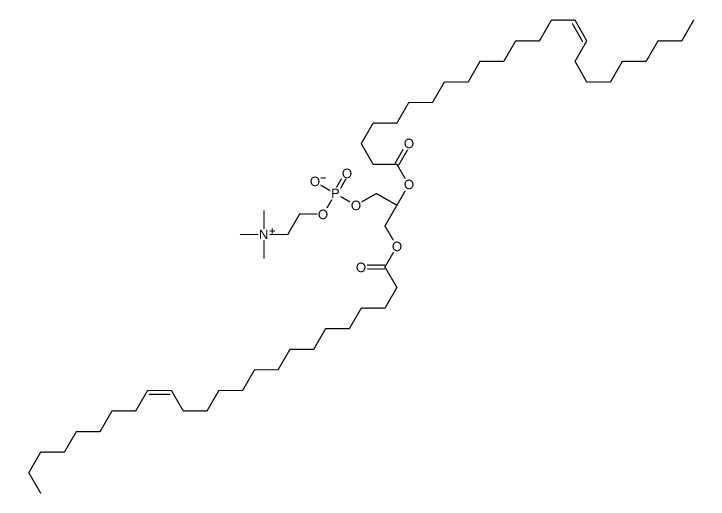 1,2-dinervonoyl-sn-glycero-3-phosphocholine