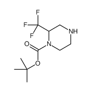 2-(三氟甲基)哌嗪-1-羧酸叔丁酯