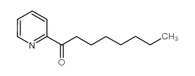 2-辛酰基吡啶