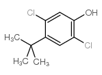 4-tert-butyl-2,5-dichlorophenol