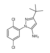 5-叔丁基-2-(2,5-二氯-苯基)-2H-吡唑-3-胺