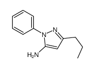 2-苯基-5-丙基-2H-吡唑-3-胺