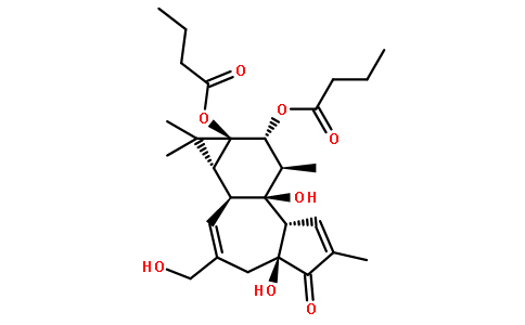 4-Alpha-佛波醇-12,13-二丁酸