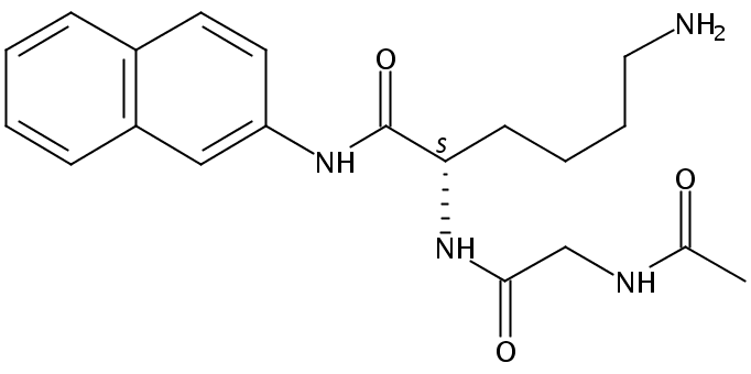 Ac-Gly-Lys-βNA