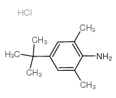 4-叔丁基-2,6-二甲基苯胺盐酸盐