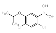 24-二氯-5-异丙氧基苯硼酸