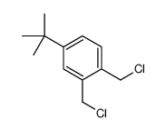 4-tert-butyl-1,2-bis(chloromethyl)benzene