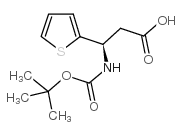 Boc-(r)-3-氨基-3-(2-噻吩)丙酸