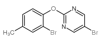 5-溴-2-(2-溴-4-甲基苯氧基)嘧啶