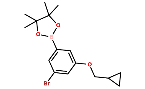 3-溴-5-(环丙基甲氧基)苯硼酸频那醇酯