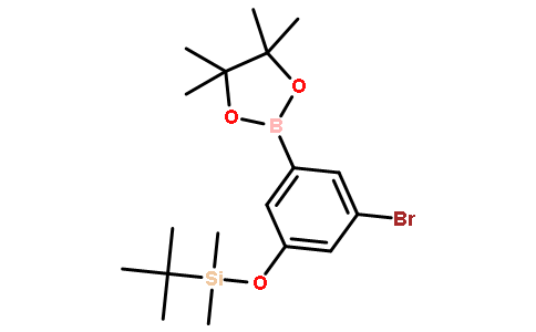 3-溴-5-t-丁基二甲基甲硅烷基氧基苯硼酸频那醇酯