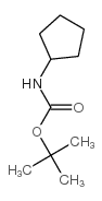 环戊基氨基甲酸叔丁酯