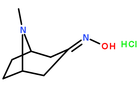 8-甲基-8-氮杂双环[3.2.1]-3-辛酮肟