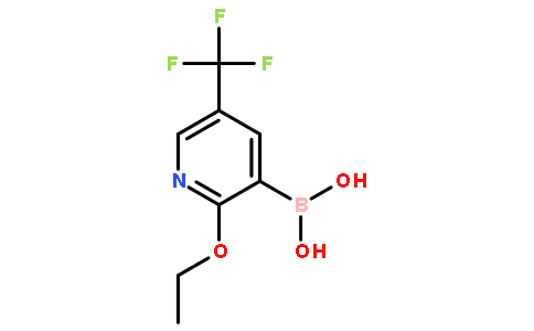 2-乙氧基-5-(三氟甲基)吡啶-3-硼酸