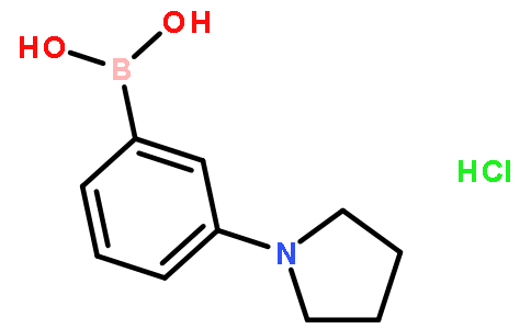 3-吡咯烷苯硼酸盐酸盐