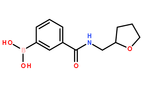 3-((四氢呋喃-2-基)甲基氨基甲酰)苯硼酸