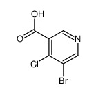 5-溴-4-氯烟酸