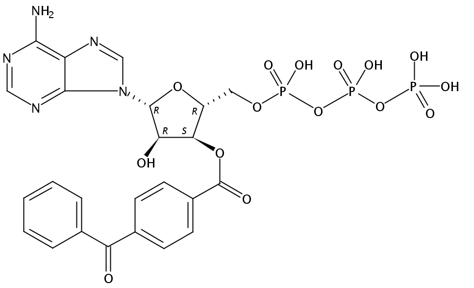 3'-O-(4-苯甲酰基)苯甲酰基腺苷 5'-三磷酸酯