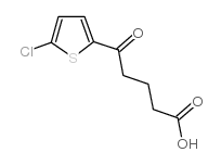 5-(5-氯-2-噻吩)-5-氧代戊酸