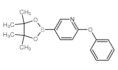 2-苯氧基-5-(4,4,5,5-四甲基-[1,3,2] 二噁硼烷-2-基)-吡啶