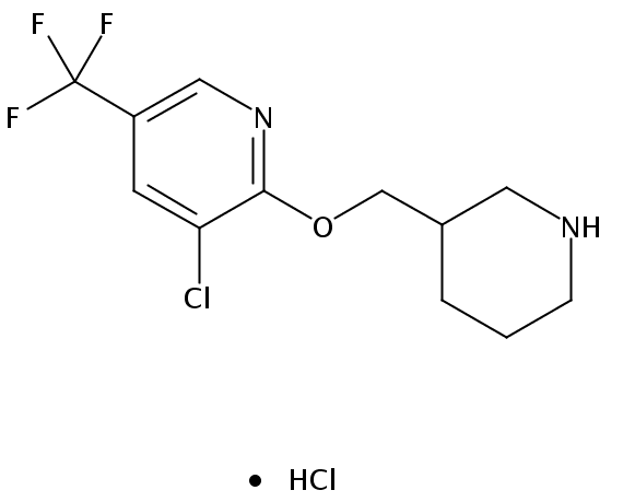 3-Chloro-2-(piperidin-3-ylmethoxy)-5-(trifluoromethyl)pyridine hydrochloride