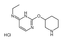 N-Ethyl-2-(piperidin-3-yloxy)pyrimidin-4-amine hydrochloride