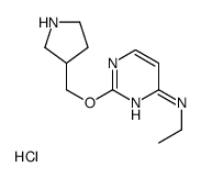 N-Ethyl-2-(pyrrolidin-3-ylmethoxy)pyrimidin-4-amine hydrochloride