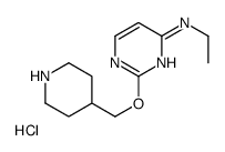 N-Ethyl-2-(piperidin-4-ylmethoxy)pyrimidin-4-amine hydrochloride
