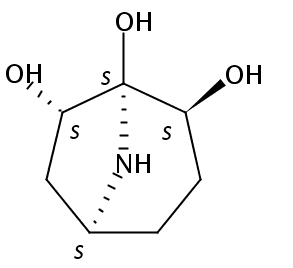 Calystegine A6