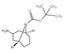 内向-3-氨基-N-Boc-9-氮杂双环[3.3.1]壬烷