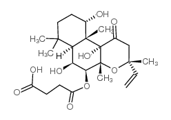 福斯高林7-O-半琥珀酰-7-脱乙酰基