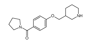 [4-(3-哌啶基甲氧基)苯基]-1-吡咯烷基甲酮