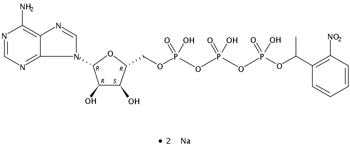 腺苷5`-三磷酸Γ-[1-(2-硝基苯基)乙基]酯钠盐