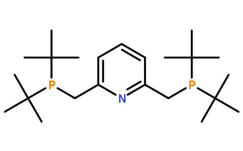 2,6-Bis(di-t-butylphosphinomethyl)pyridine,98%