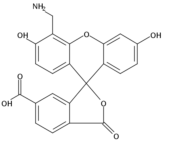 4'-氨甲基-6-羧基荧光素
