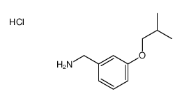 (3-异丁氧基苯基)甲胺盐酸盐
