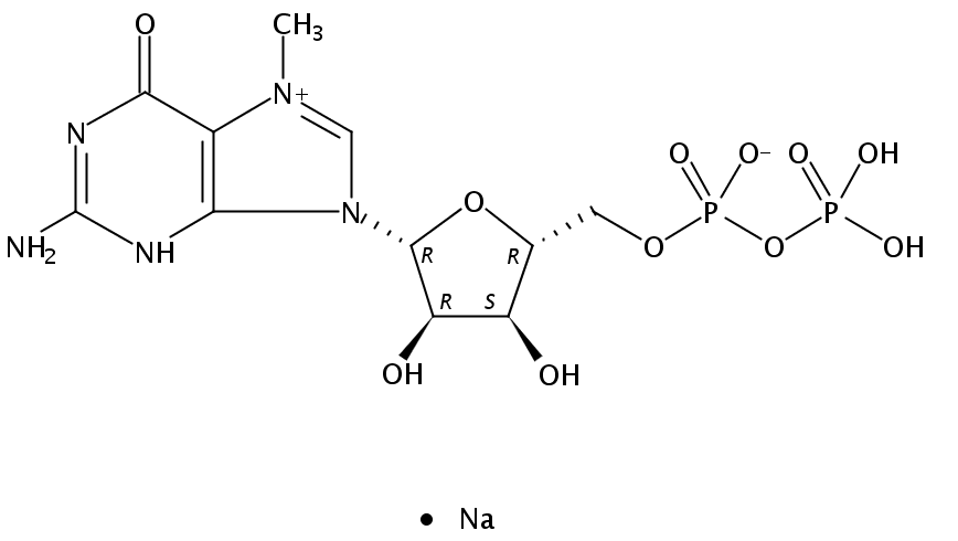 7-methyl-7,8-dihydroguanosine-5'-diphosphate