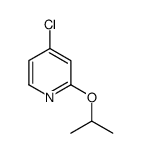 4-chloro-2-propan-2-yloxypyridine
