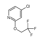 4-Chloro-2-(2,2,2-trifluoroethoxy)pyridine
