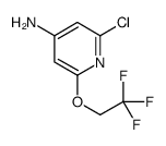 2-chloro-6-(2,2,2-trifluoroethoxy)pyridin-4-amine