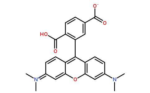 6-羧基四甲基罗丹明 for fluorescence,