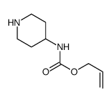 哌啶-4-基-氨基甲酸烯丙基酯